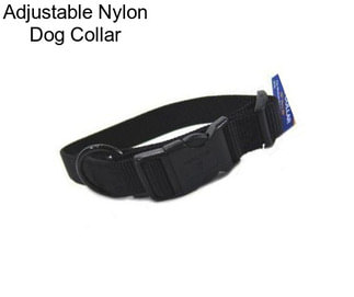 Adjustable Nylon Dog Collar