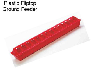 Plastic Fliptop Ground Feeder