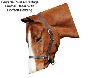 Henri de Rivel Advantage Leather Halter With Comfort Padding