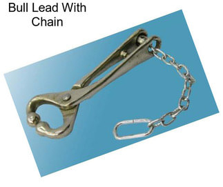 Bull Lead With Chain