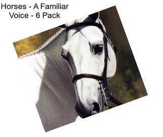 Horses - A Familiar Voice - 6 Pack