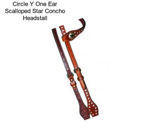 Circle Y One Ear Scalloped Star Concho Headstall