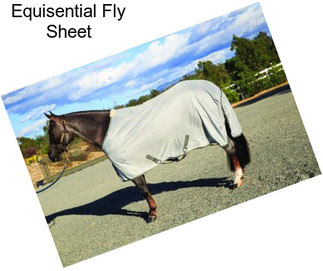 Equisential Fly Sheet