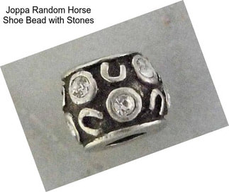 Joppa Random Horse Shoe Bead with Stones