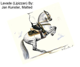 Lavade (Lipizzan) By: Jan Kunster, Matted