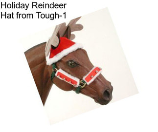 Holiday Reindeer Hat from Tough-1