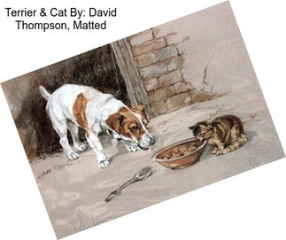 Terrier & Cat By: David Thompson, Matted