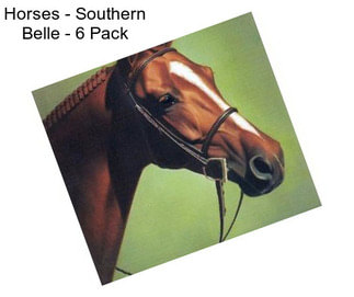 Horses - Southern Belle - 6 Pack