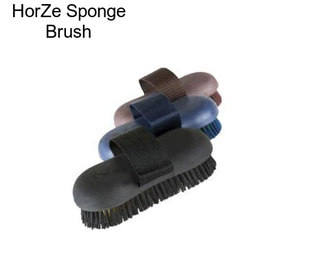 HorZe Sponge Brush