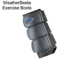 WeatherBeeta Exercise Boots