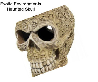 Exotic Environments Haunted Skull