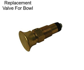 Replacement Valve For Bowl