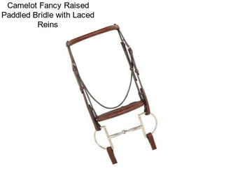 Camelot Fancy Raised Paddled Bridle with Laced Reins