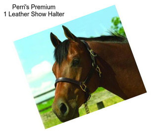 Perri\'s Premium 1\