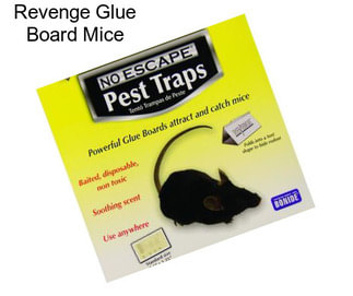 Revenge Glue Board Mice