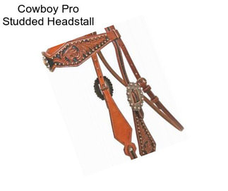Cowboy Pro Studded Headstall