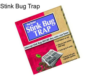 Stink Bug Trap