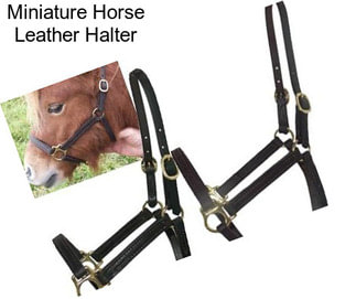 Miniature Horse Leather Halter