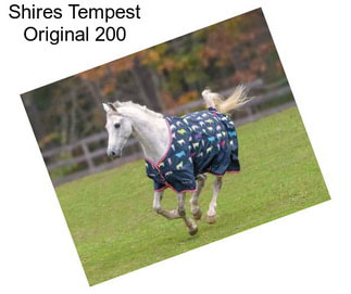 Shires Tempest Original 200