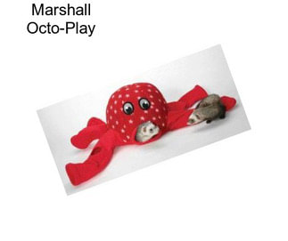 Marshall Octo-Play