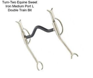 Turn-Two Equine Sweet Iron Medium Port L Double Train Bit