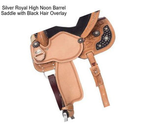 Silver Royal High Noon Barrel Saddle with Black Hair Overlay