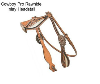 Cowboy Pro Rawhide Inlay Headstall