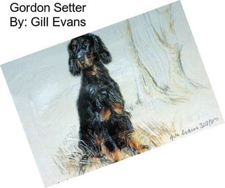 Gordon Setter By: Gill Evans