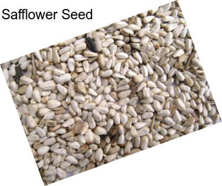 Safflower Seed