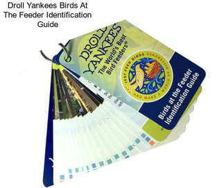 Droll Yankees Birds At The Feeder Identification Guide