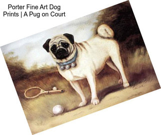 Porter Fine Art Dog Prints | A Pug on Court