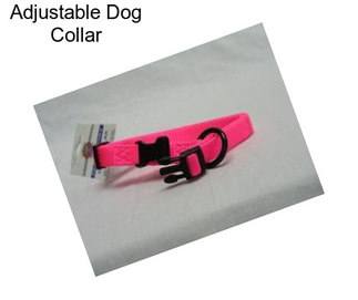 Adjustable Dog Collar