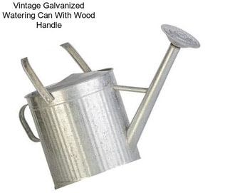 Vintage Galvanized Watering Can With Wood Handle