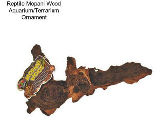 Reptile Mopani Wood Aquarium/Terrarium Ornament