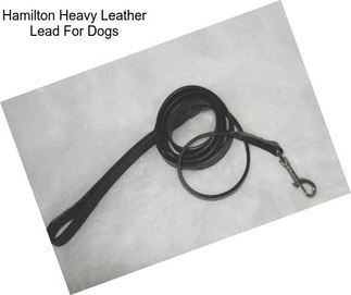 Hamilton Heavy Leather Lead For Dogs
