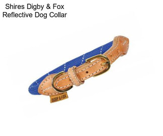 Shires Digby & Fox Reflective Dog Collar