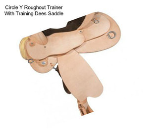 Circle Y Roughout Trainer With Training Dees Saddle