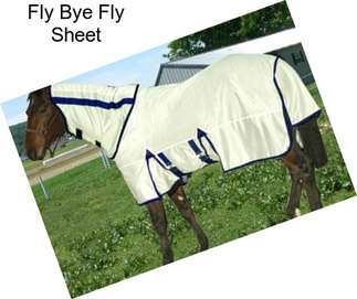 Fly Bye Fly Sheet