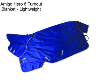 Amigo Hero 6 Turnout Blanket - Lightweight