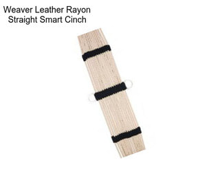 Weaver Leather Rayon Straight Smart Cinch