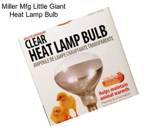 Miller Mfg Little Giant Heat Lamp Bulb
