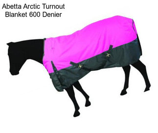 Abetta Arctic Turnout Blanket 600 Denier