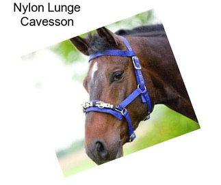 Nylon Lunge Cavesson