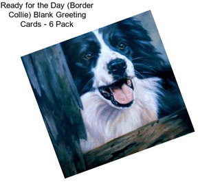 Ready for the Day (Border Collie) Blank Greeting Cards - 6 Pack