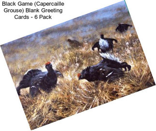 Black Game (Capercaille Grouse) Blank Greeting Cards - 6 Pack