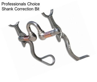 Professionals Choice Shank Correction Bit