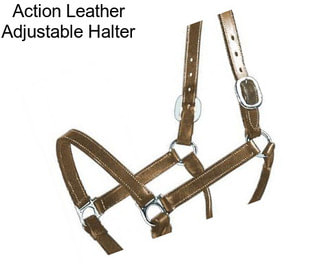 Action Leather Adjustable Halter