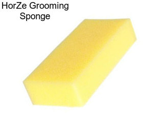 HorZe Grooming Sponge