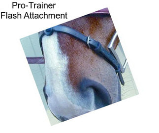 Pro-Trainer Flash Attachment