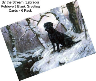 By the Stream (Labrador Retriever) Blank Greeting Cards - 6 Pack